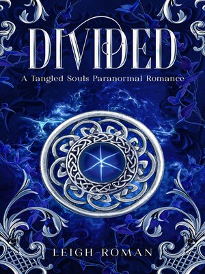 cover image of Divided